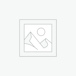 Elegáns lila tulipán – Purple Prince (25 db)